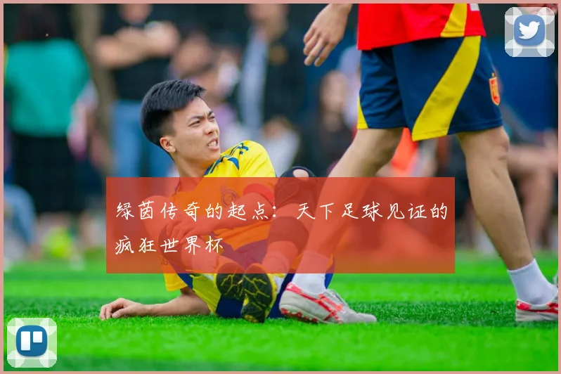 绿茵传奇的起点：天下足球见证的疯狂世界杯