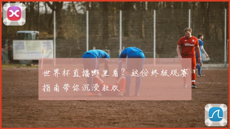 世界杯直播哪里看？这份终极观赛指南带你沉浸狂欢
