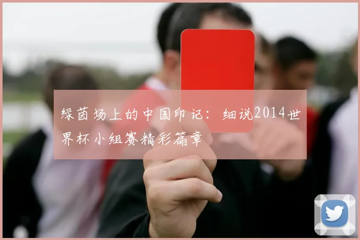 绿茵场上的中国印记：细说2014世界杯小组赛精彩篇章