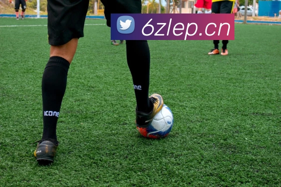 米兰app官方正版官网平台生态图