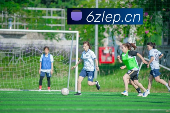 数据防护可视化